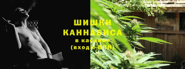 индика Нея