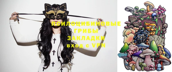 индика Нея